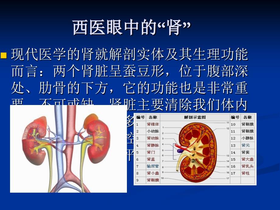 慢性肾病中的疗效观察ppt课件_第3页