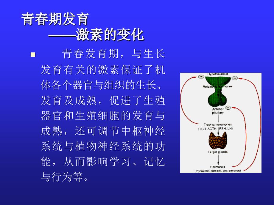 青春期健康与疾病课ppt课件_第4页