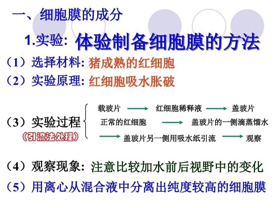 3.1细胞膜系统边界_第5页