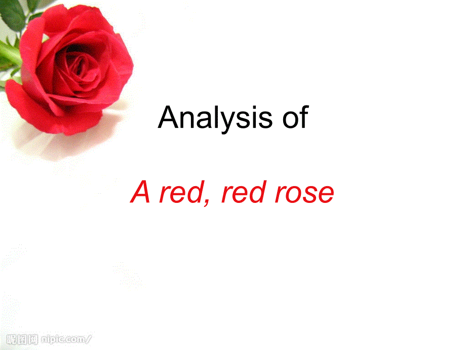 a-red--red-rose英文赏析(重点修辞)_第1页