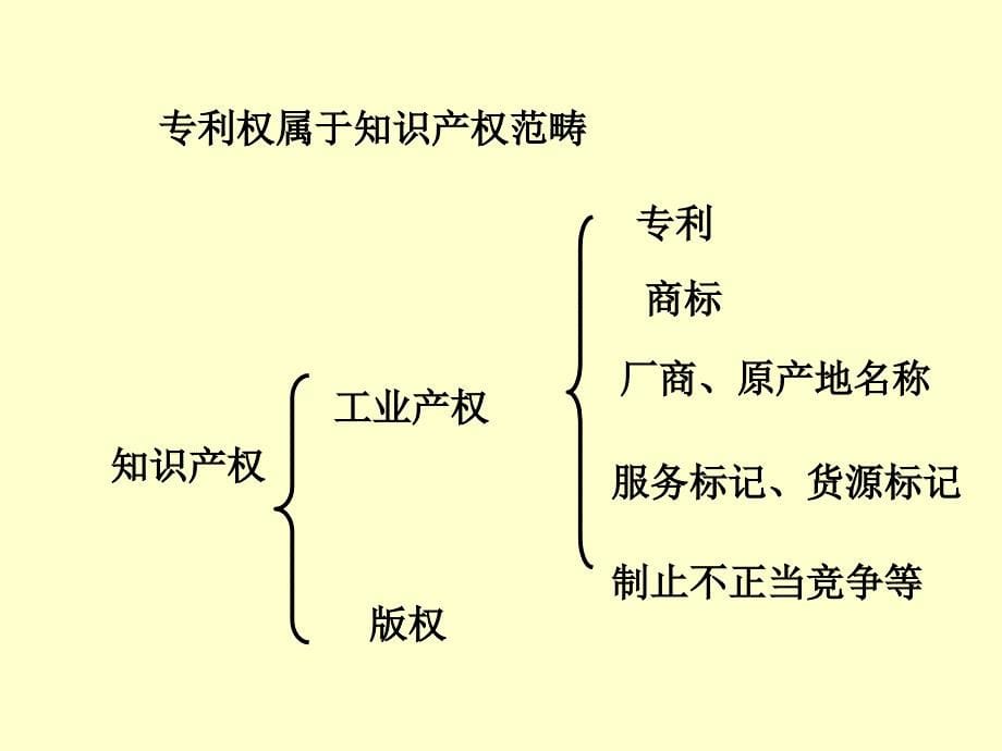 第五章专利文献检索_第5页