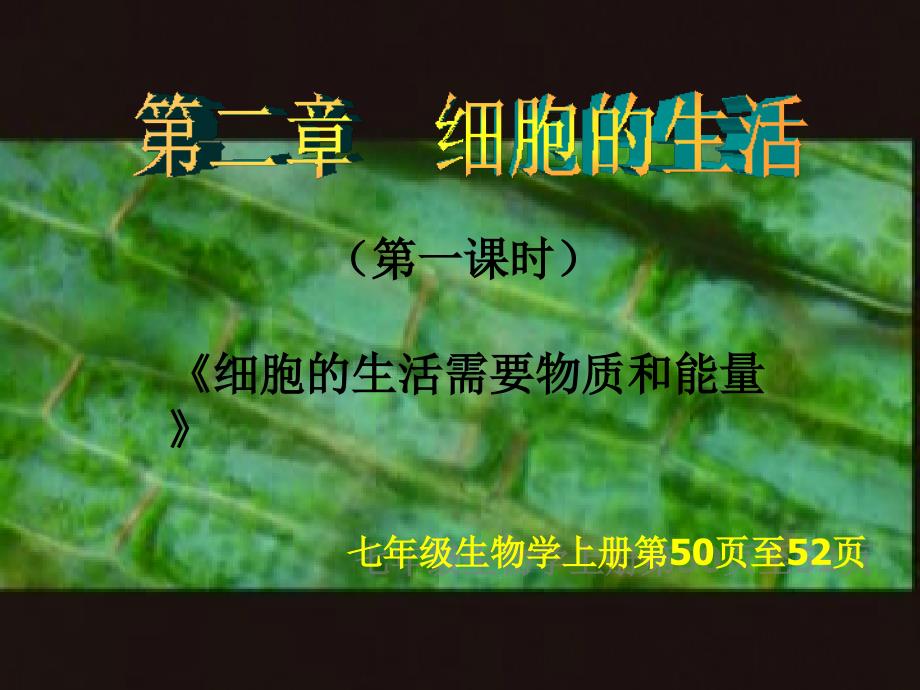 细胞的生活需要物质和能量----公开课课件精品.ppt_第2页