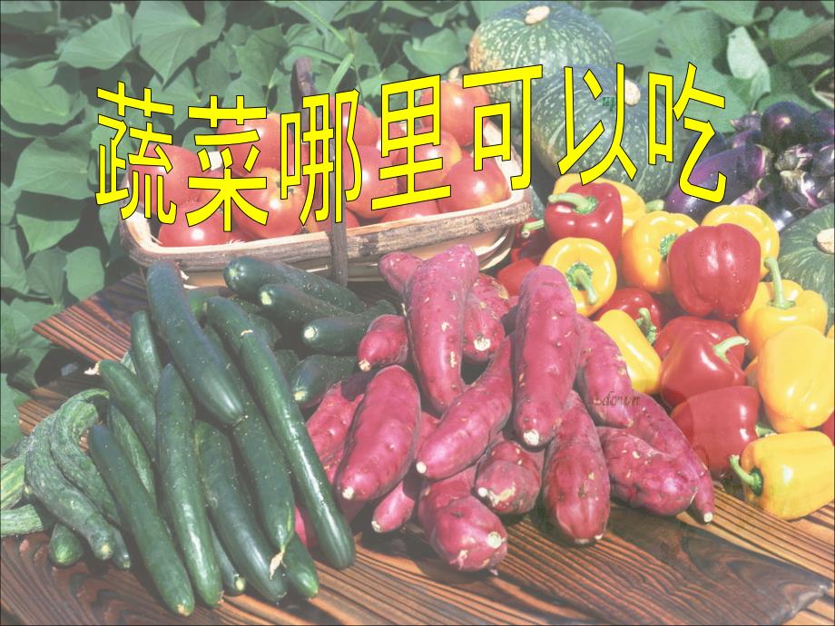 蔬菜食用部位_第1页