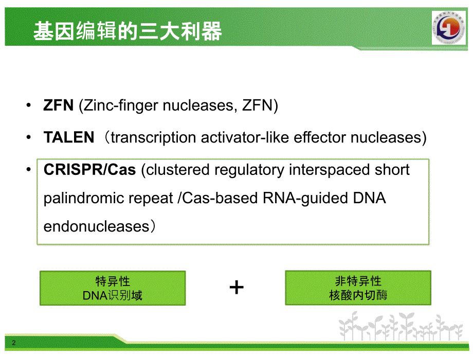 三种基因编辑工具-zfn.talen.crispr-cas_第2页