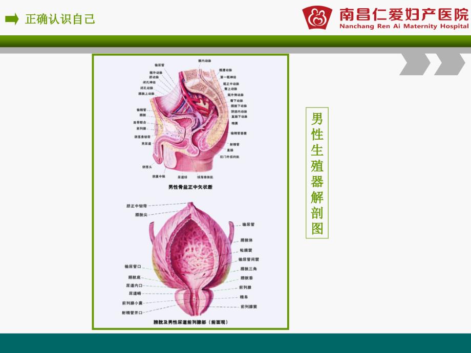 我青春,我健康高校讲座_第4页