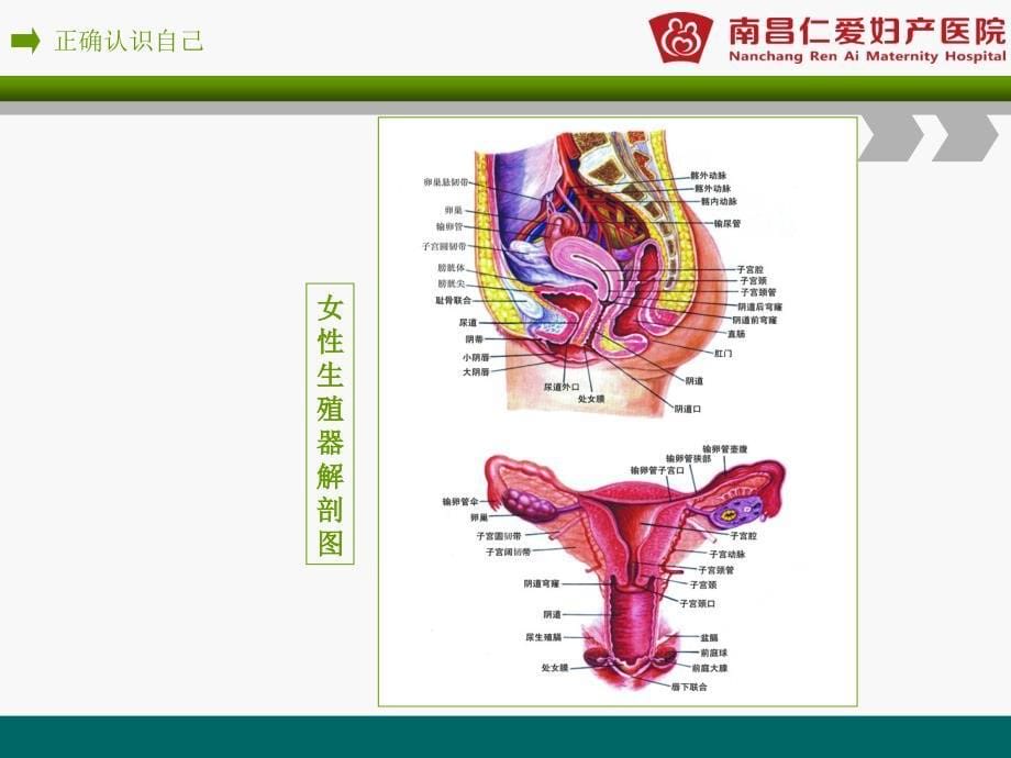 我青春,我健康高校讲座_第5页