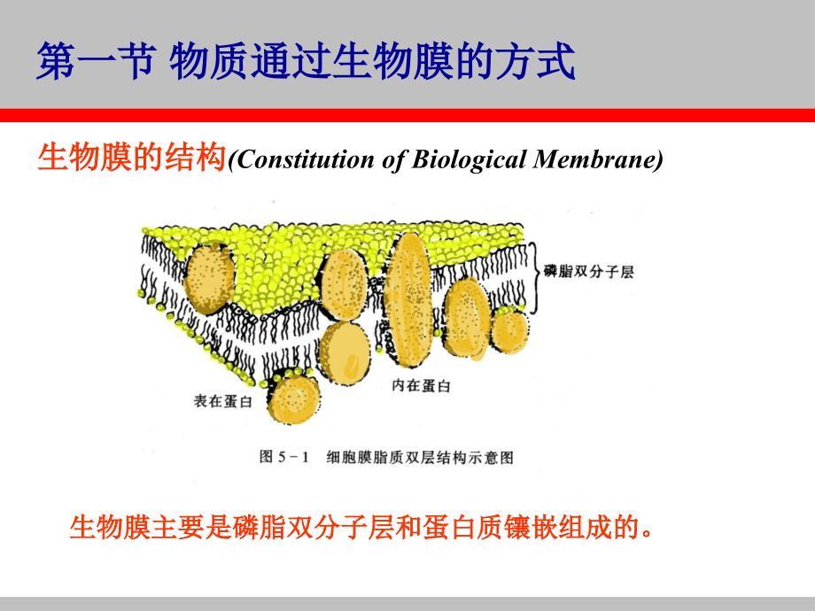 生物体内污染物质运动过程及毒性_第2页