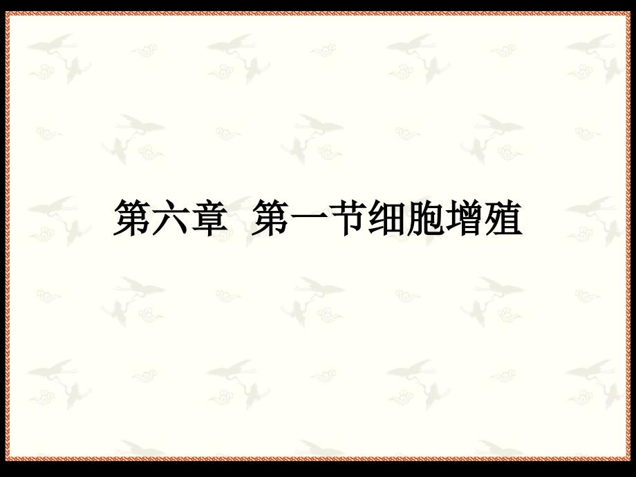 生物：5.1《细胞增殖复习课》课件_第1页