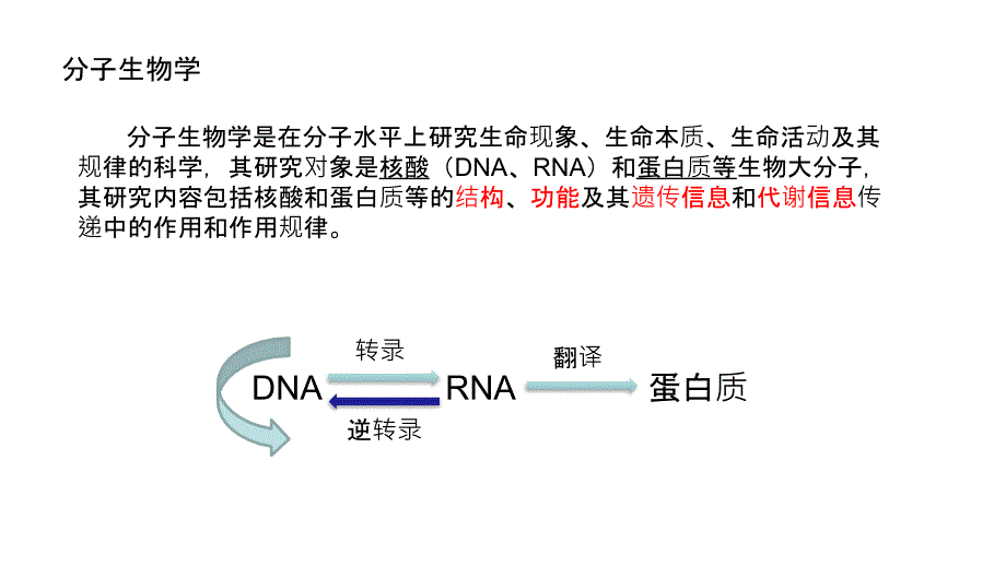 基因克隆原理及实验介绍_第4页