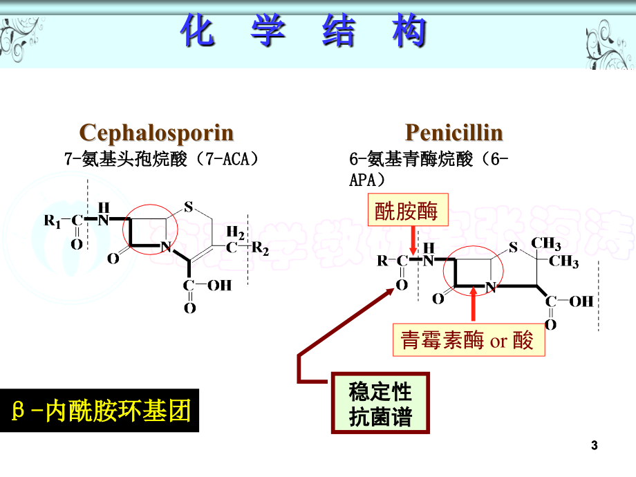 β-内酰胺类抗生素(zht)_第3页