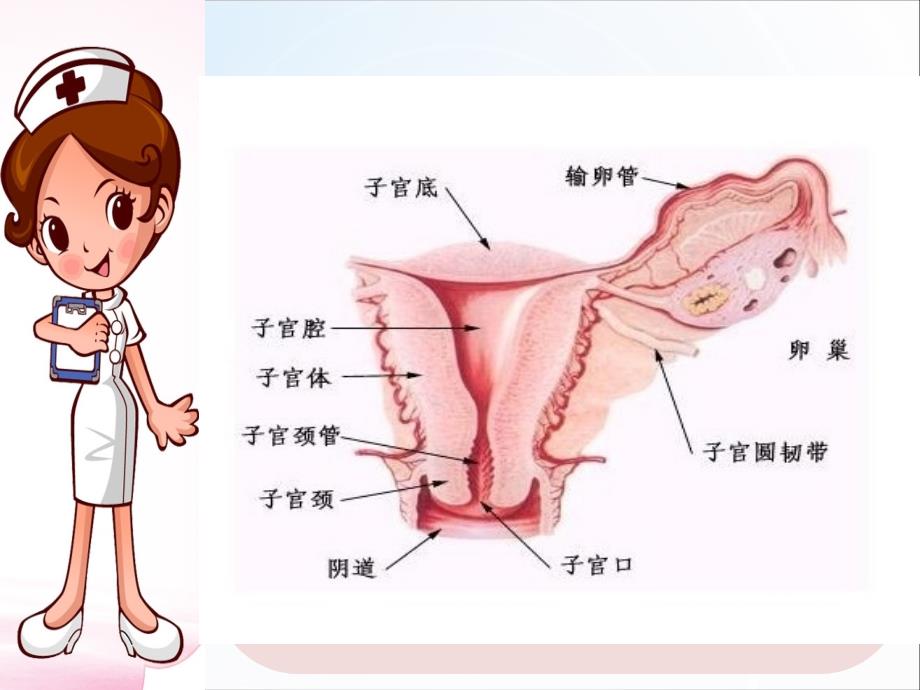 宫外孕护理查房72812_第4页