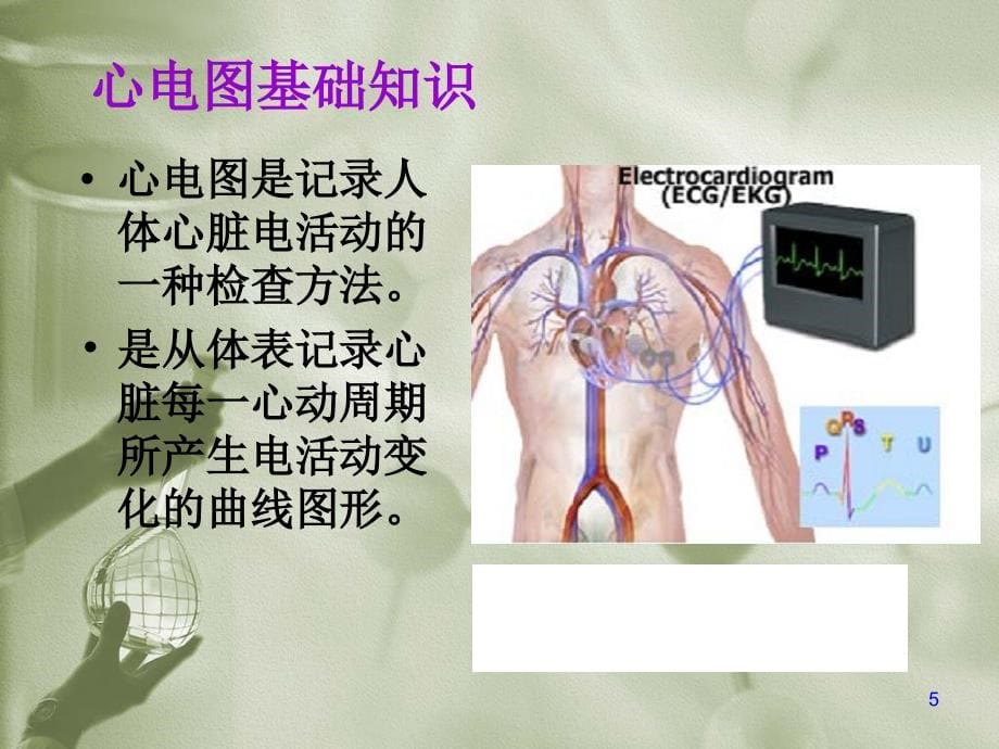 心电图机原理及应用介绍56040_第5页