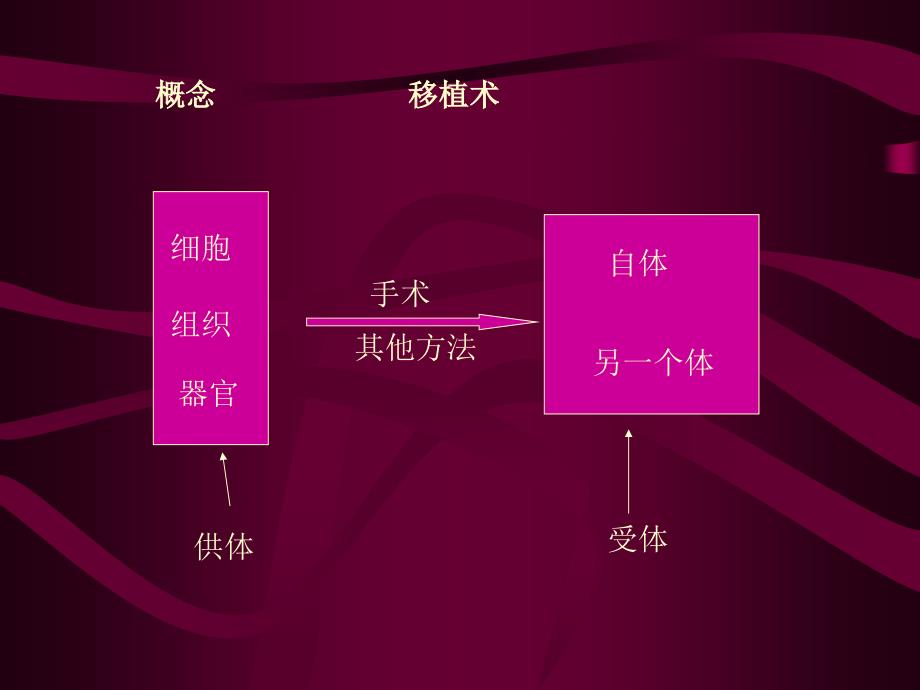 外科学(总论)-王柏群-第十七章移植_第2页