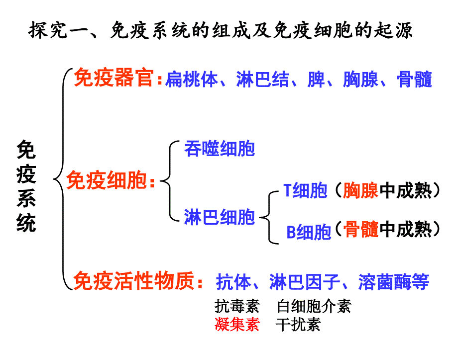 高中生物学习之免疫调节_第4页