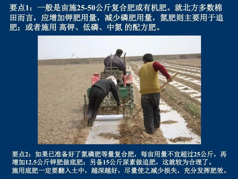 新疆棉花高产栽培技术-2018.7.14_第5页