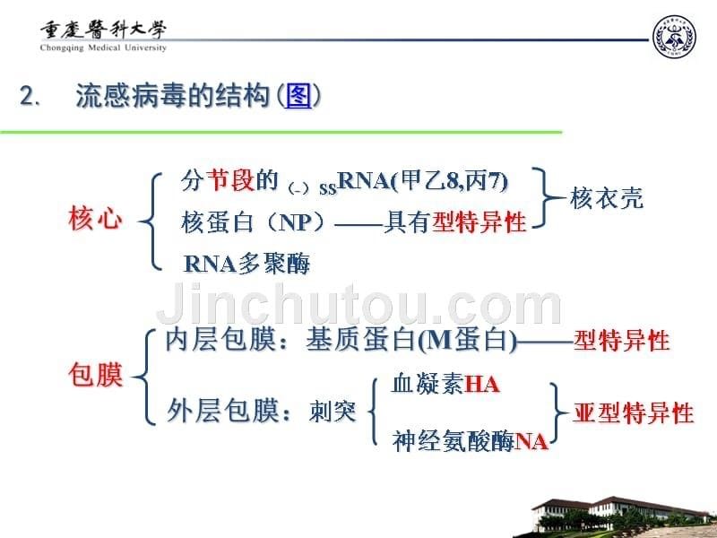 病毒各论-2016-10_第5页