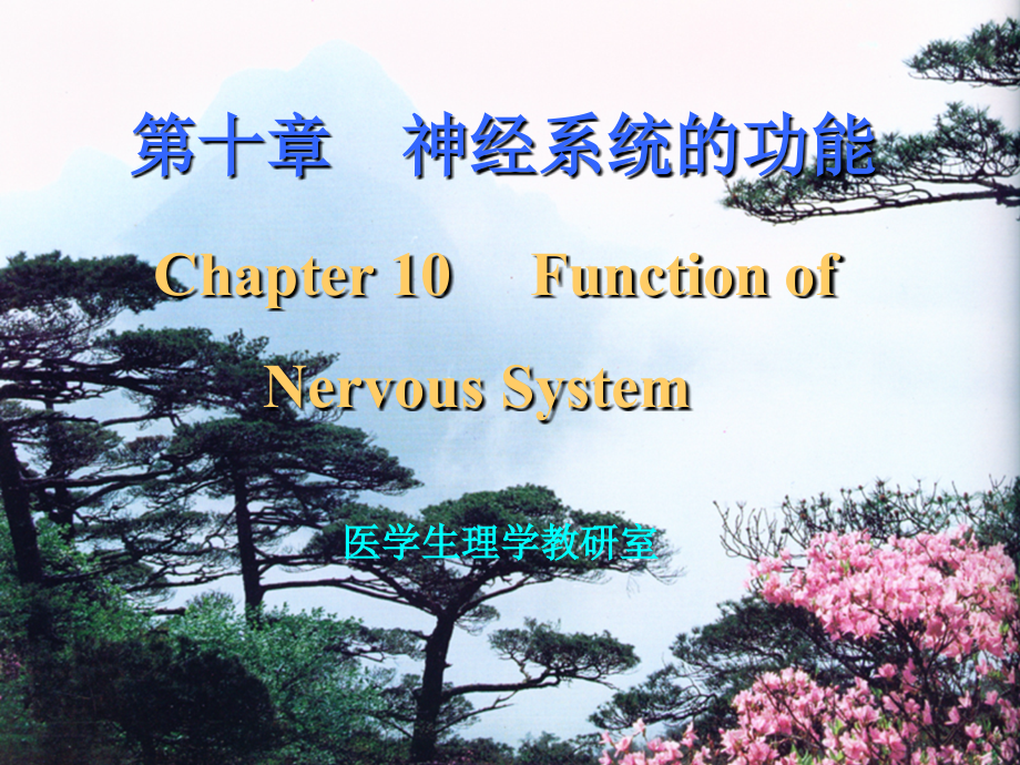 生理学 神经系统的功能_第1页