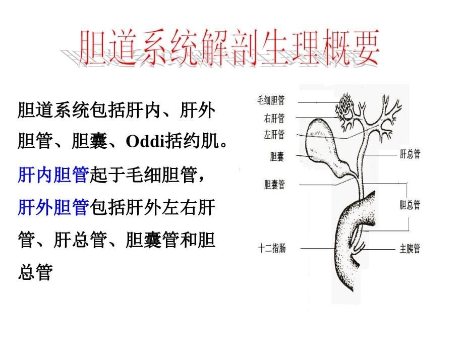 胆道疾病病人护理.luohe(精品)_第5页