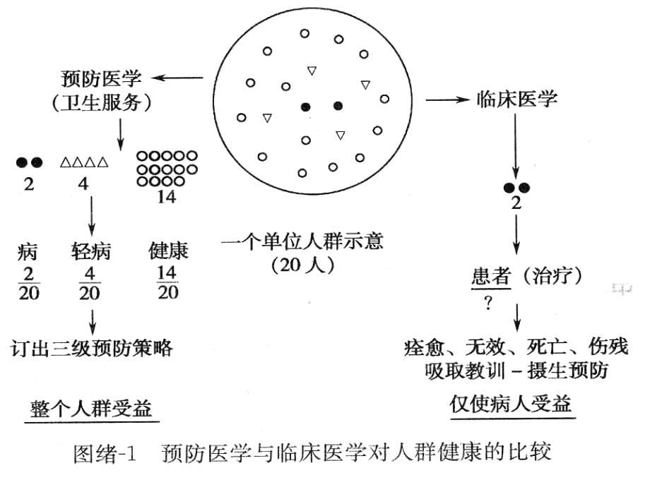 绪论-预防医学-课件-01_第5页