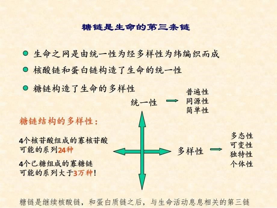 2014年糖基化及免疫博士课2_第5页