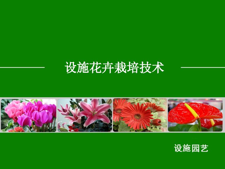 ppt-设施花卉栽培技术_第2页