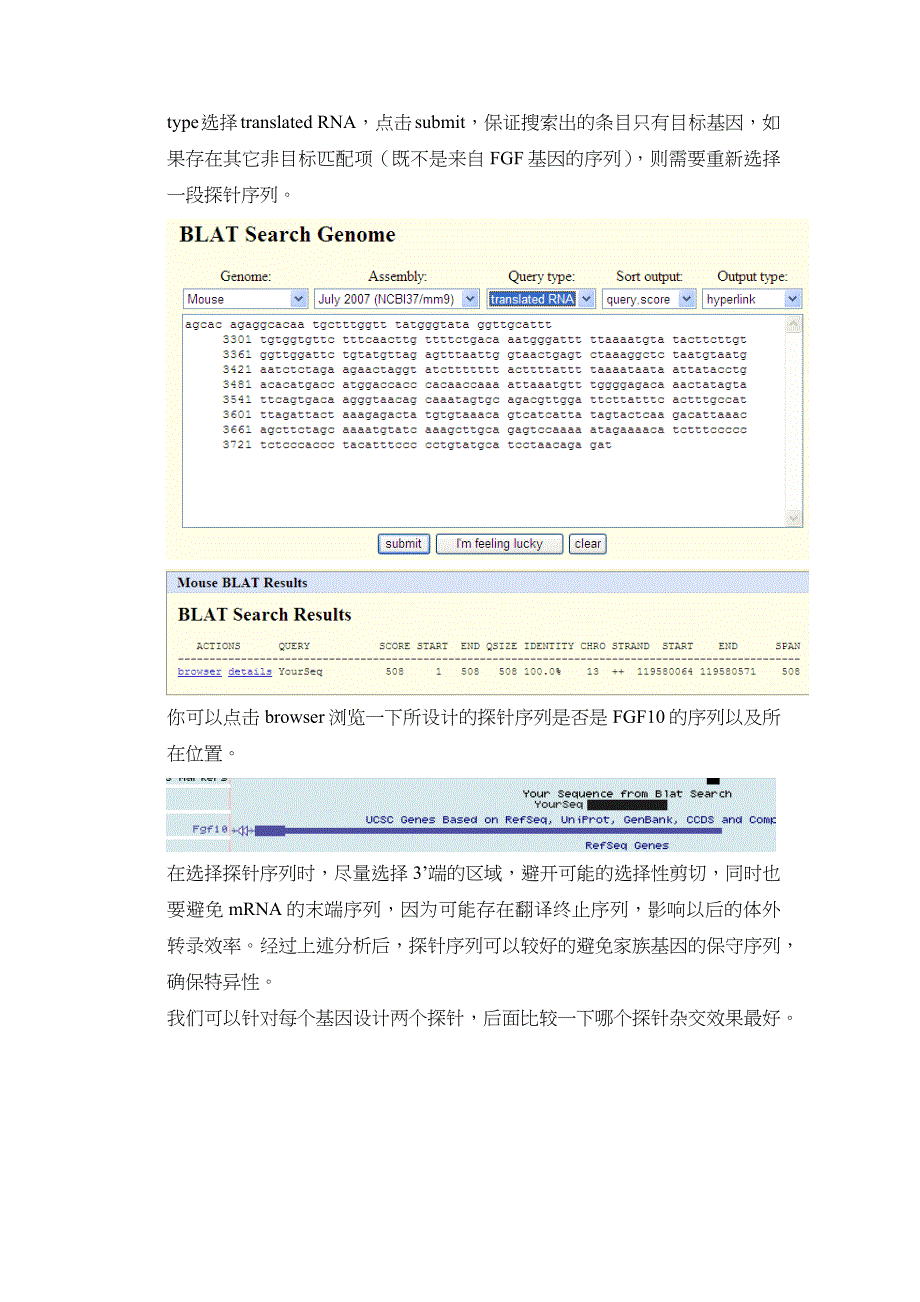 原位杂交探针设计原则_第3页