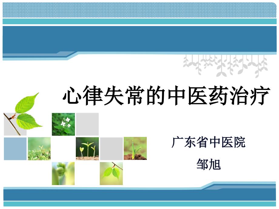 心律失常中医药治疗_第1页