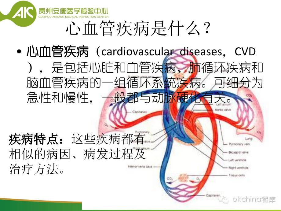 心血管疾病普及知识12-7_第2页