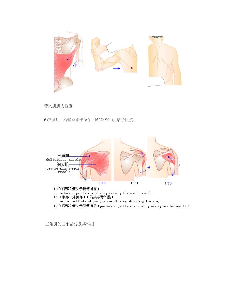 肌力检查方法_第4页