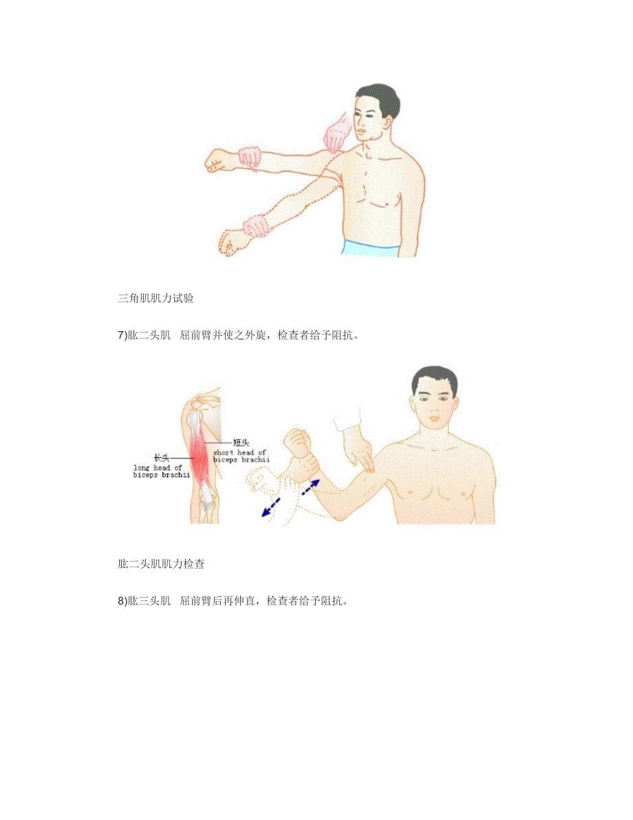 肌力检查方法_第5页