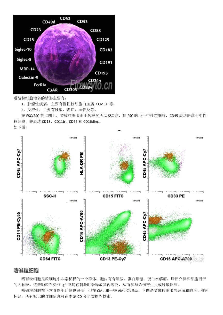 各系细胞正常抗原分化规律和散点图_第4页