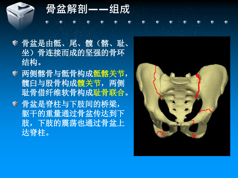 骨盆骨折(科室学习)_第3页