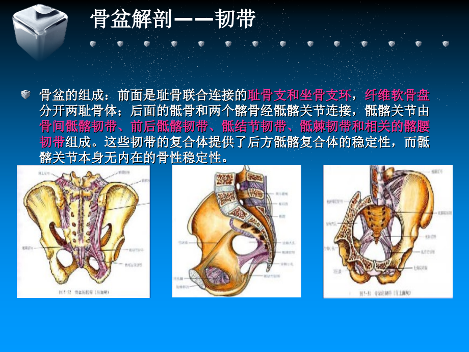 骨盆骨折(科室学习)_第4页