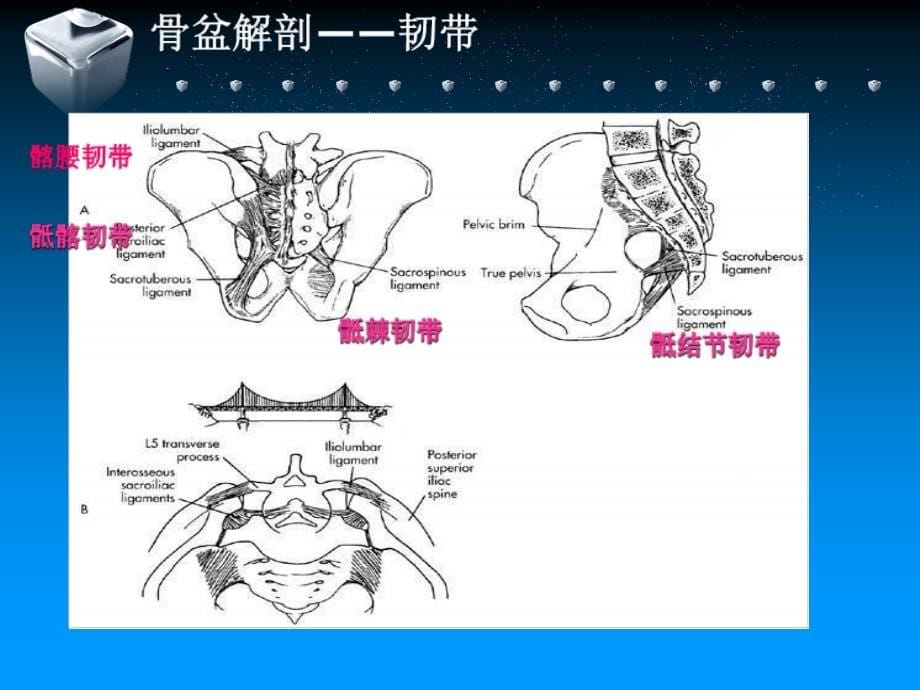 骨盆骨折(科室学习)_第5页