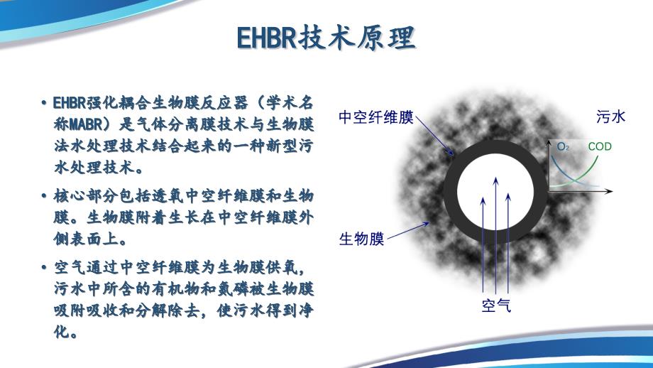 EHBR黑臭水体治理ppt_第3页