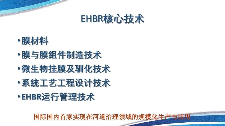 EHBR黑臭水体治理ppt_第5页