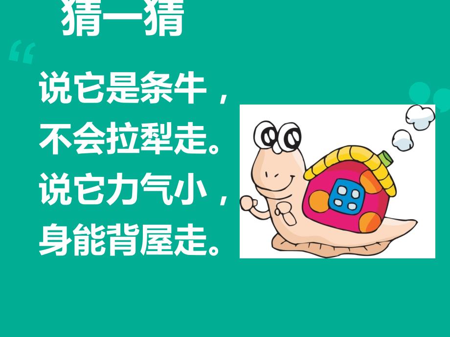 小学三年级科学上册蜗牛(一)课件_第1页