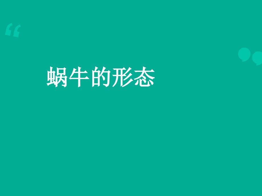 小学三年级科学上册蜗牛(一)课件_第3页