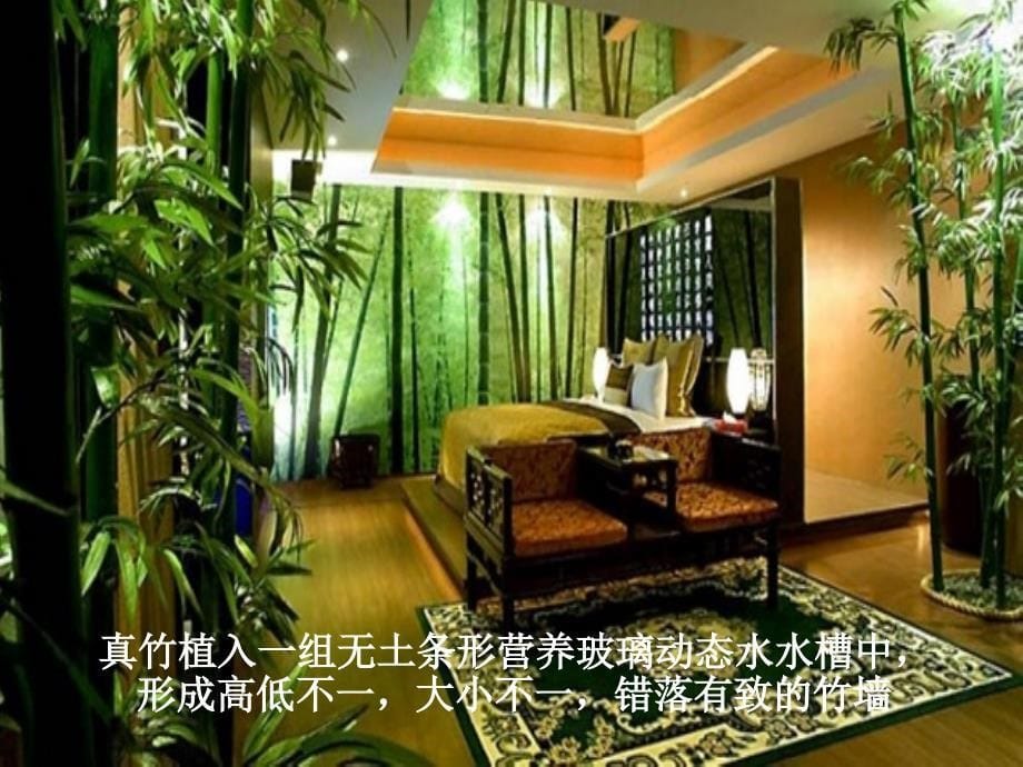 竹风生态主题客房设计_第5页