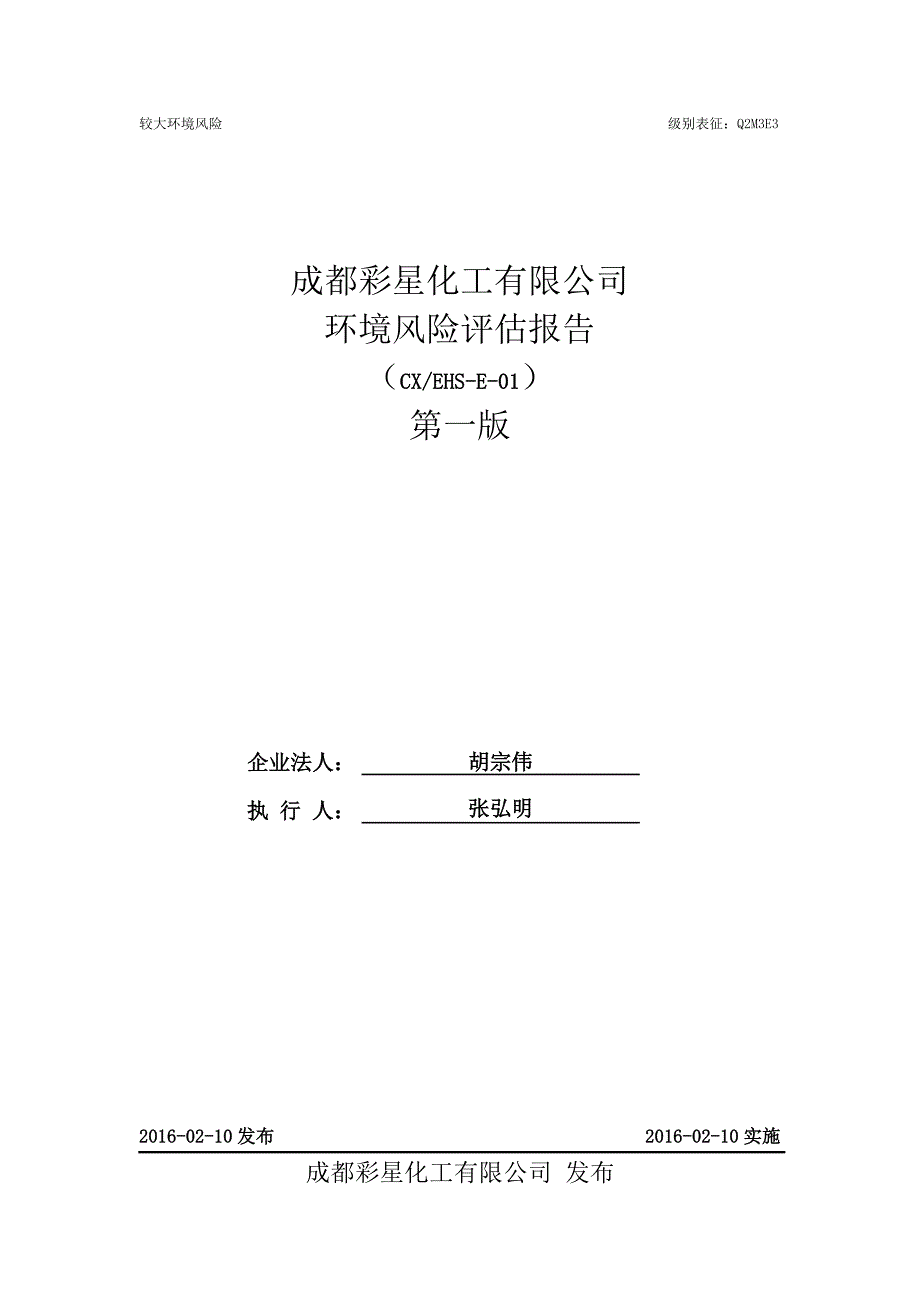 环境风险评估报告(彩星)_第1页