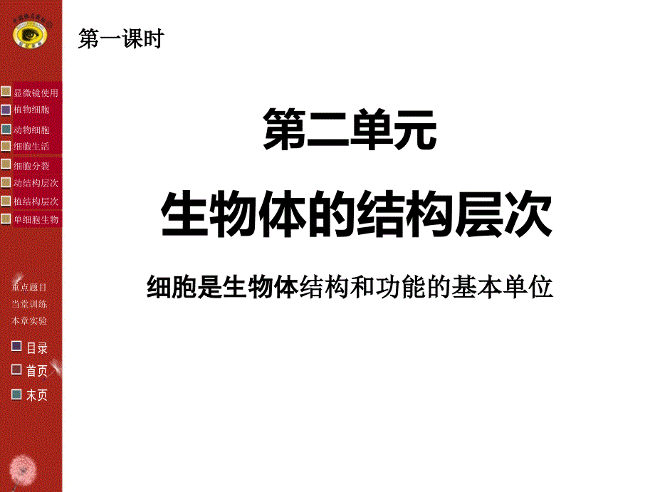 新人教版七年级生物上册第二单元复习课件_第3页