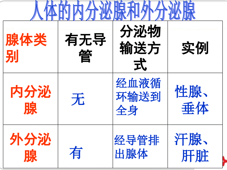 《人体生命活动调节》复习课件(共43张) (共43张)_第3页