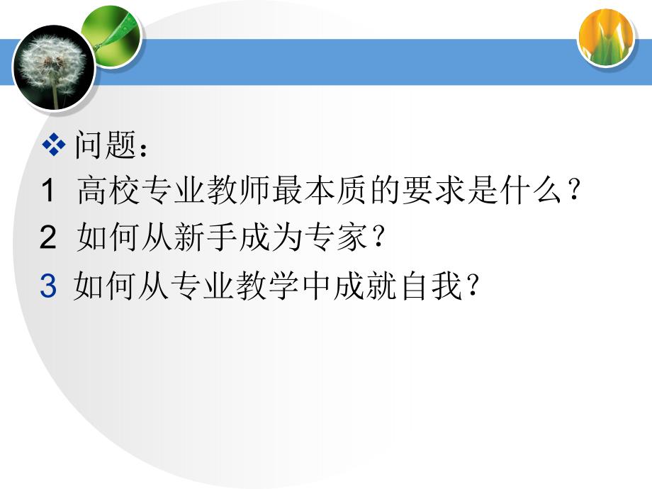 高等教育心理学专题二教师心理_第2页