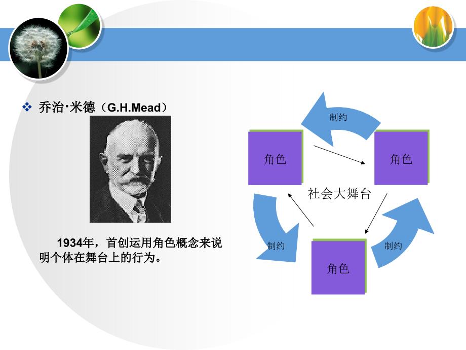 高等教育心理学专题二教师心理_第4页