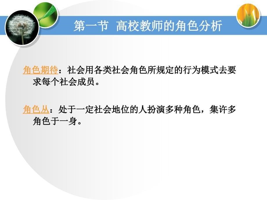 高等教育心理学专题二教师心理_第5页