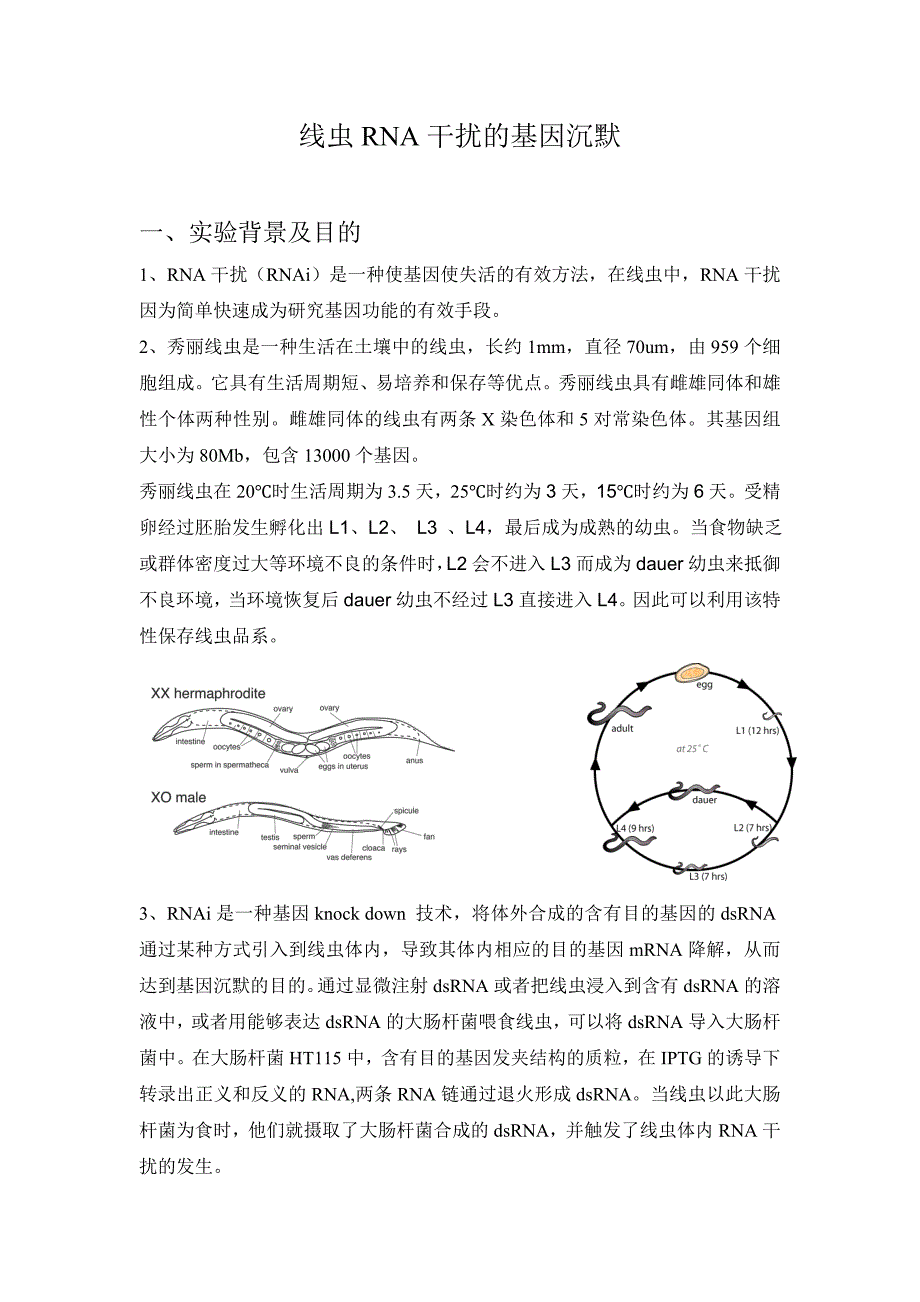 线虫rna干扰基因沉默_第1页