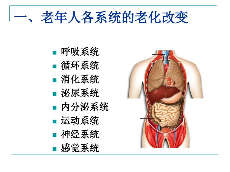 改老年人常见健康问题及护理课件_第2页