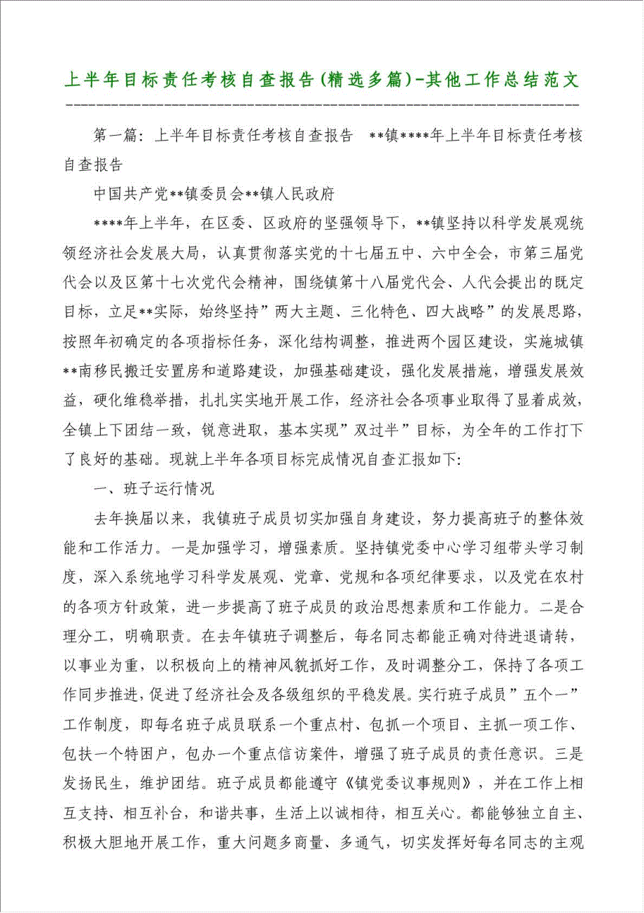 上半年目标责任考核自查报告（优秀范文）-其他工作总结范文材料.doc_第1页