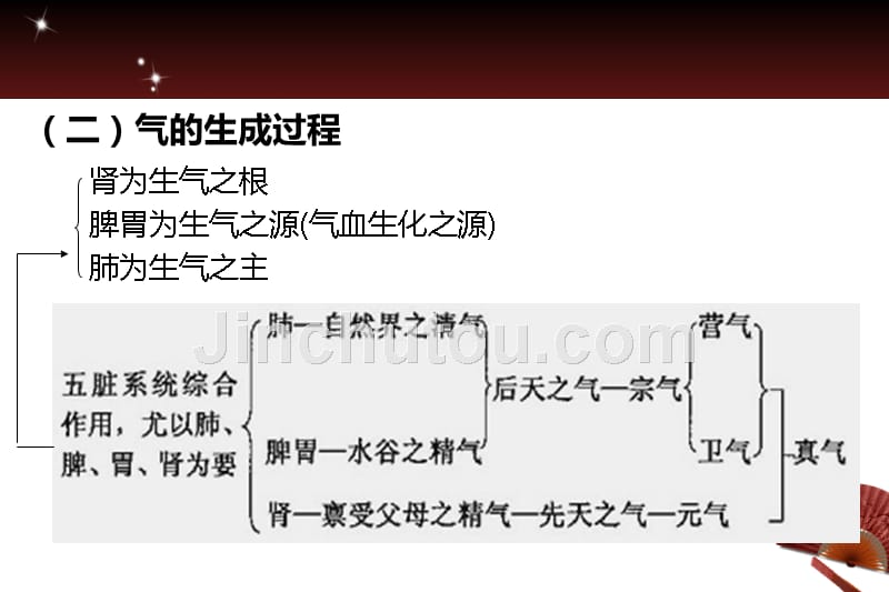 中医药学概论：气血津液_第5页