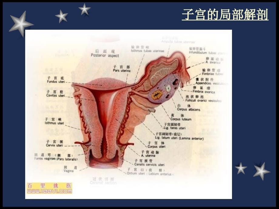 剖宫产术前及术后护理_第5页